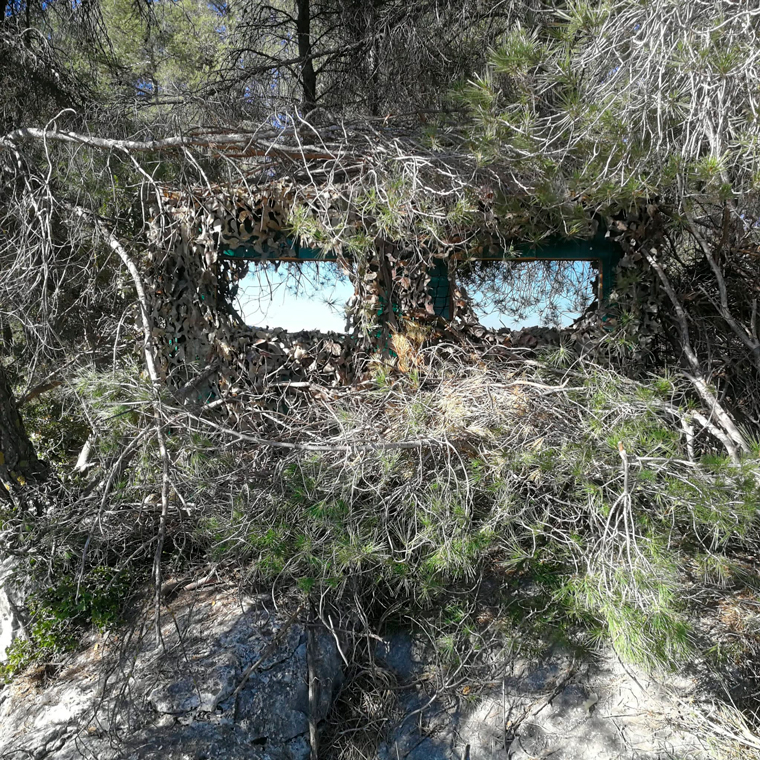 peregrine hide murcia
