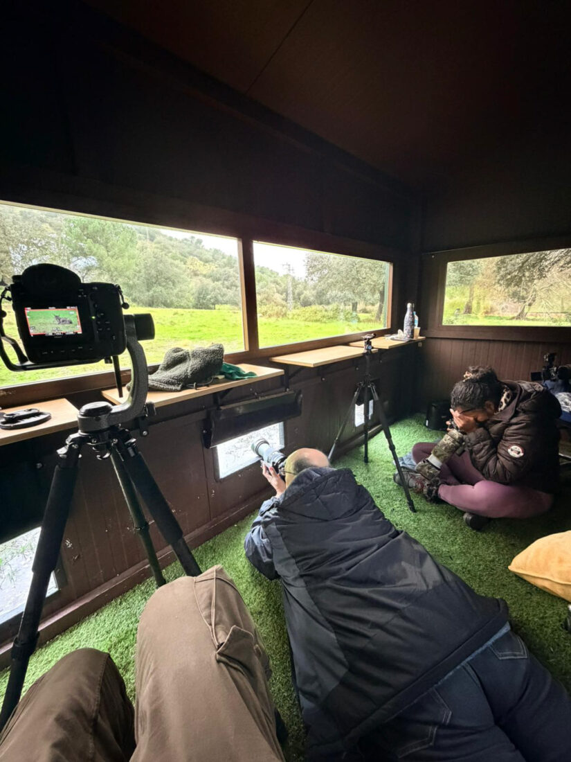 El hide Photologistics