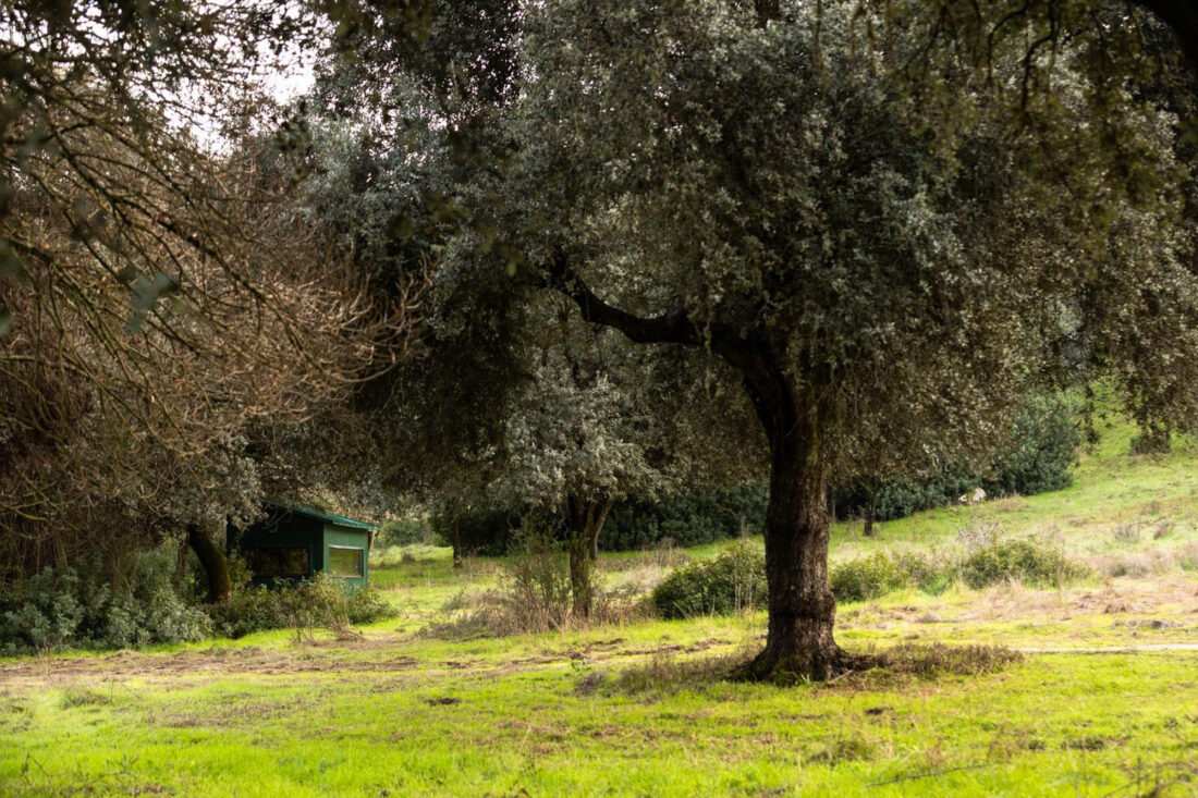 El hide Photologistics