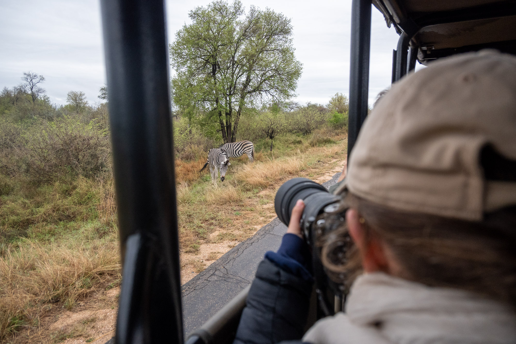 Sudáfrica en familia: naturaleza, fauna salvaje y cultura
